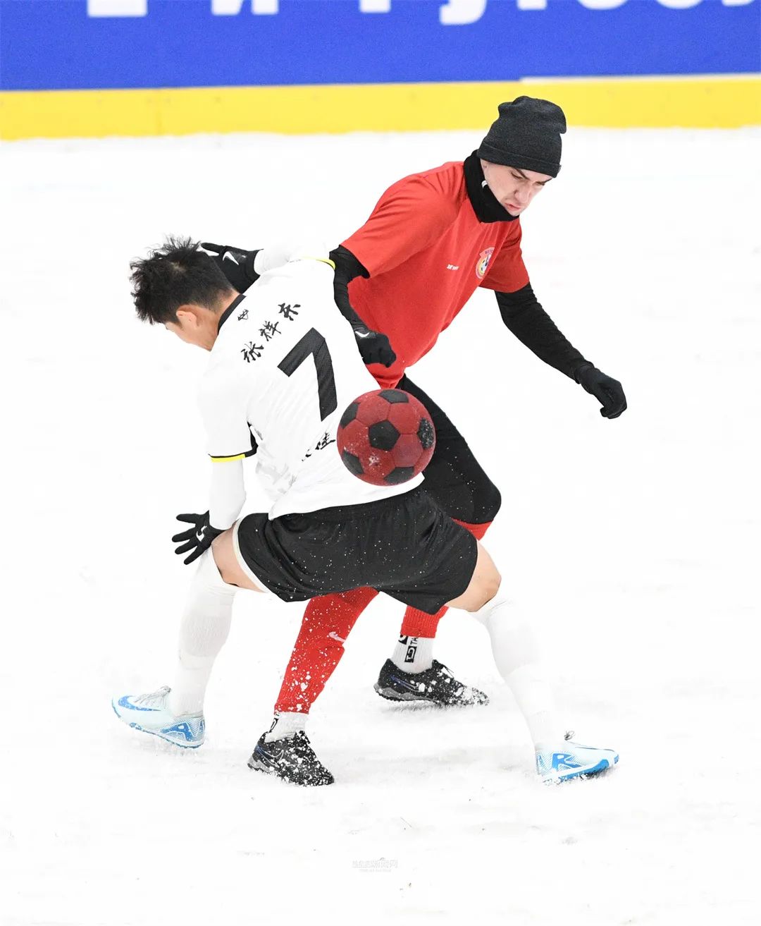 关于格瓦拉主场不敌对手,积分上升受挫的信息 关于格瓦拉主场不敌对手,积分上升受挫的信息